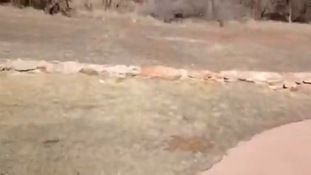 32.Идеи для свадьбы в Техасе смотреть онлайн