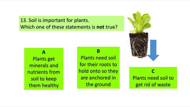 Science Lesson 24th Feb 2021 смотреть онлайн