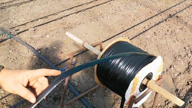 капельный полив в теплице / Какое капельное выбрать? смотреть онлайн