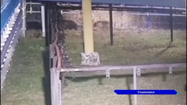 Новости "Волга -24" 29.05.2023 11:00