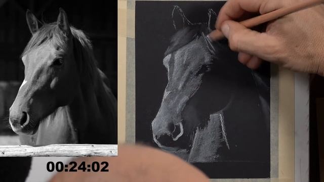 Drawing a Horse with White Charcoal on Black Paper - Live Drawing Exercise смотреть онлайн
