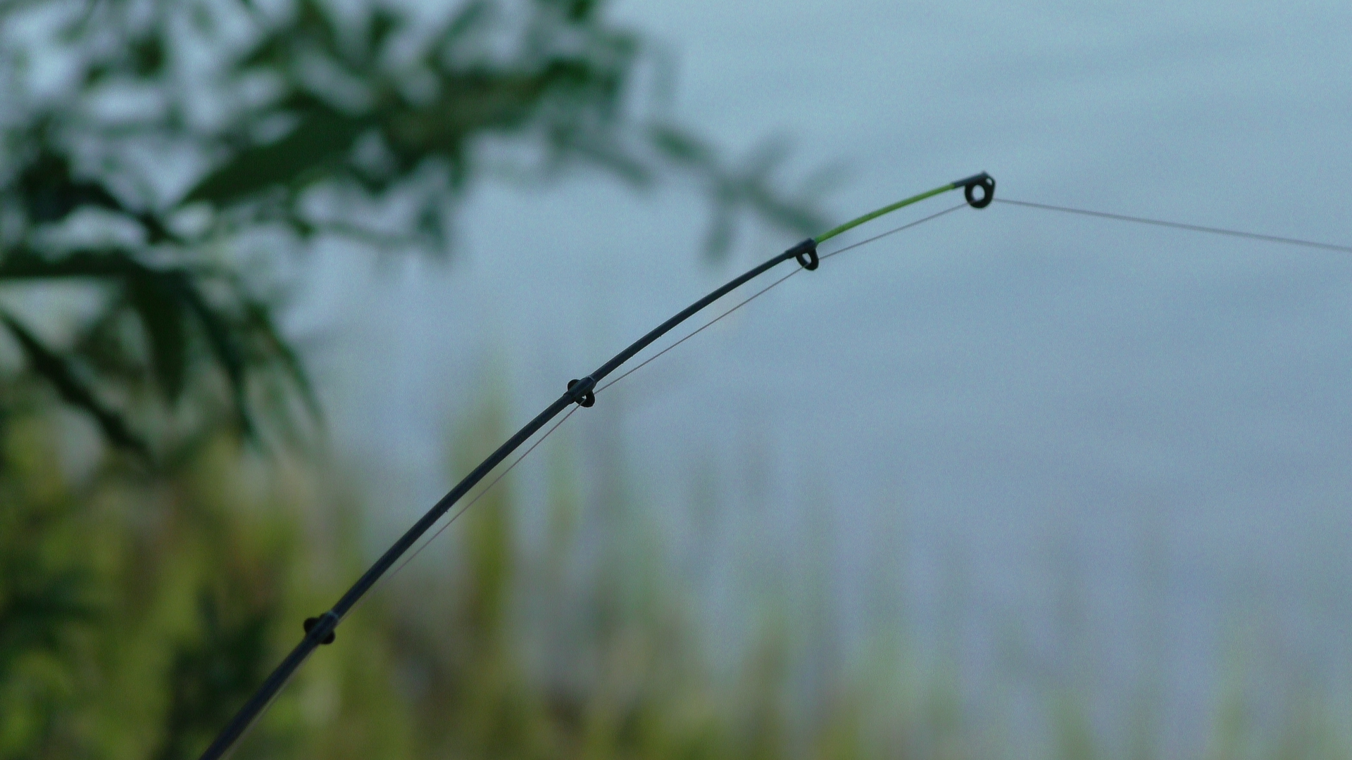 Наконец то Крупный карась пошёл. Крупный карась на донки. Рыбалка на реке смотреть онлайн