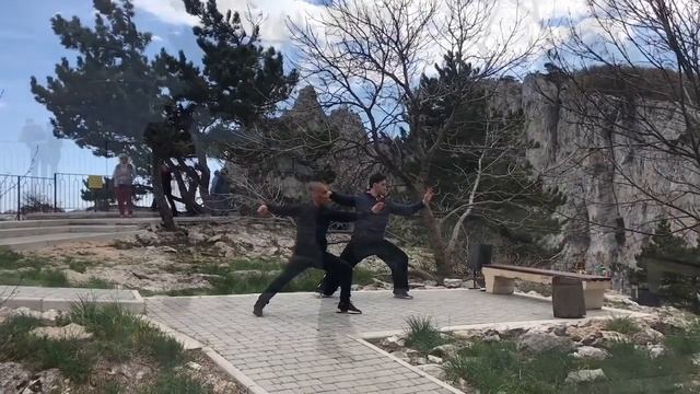 Ушу(wushu, kungfu), Тай цзи(Taijiquan) yang style, цигун (qigong). смотреть онлайн