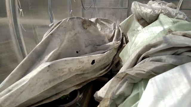 18 мая 2023 г. Дача. Обзор проделанной работы. смотреть онлайн