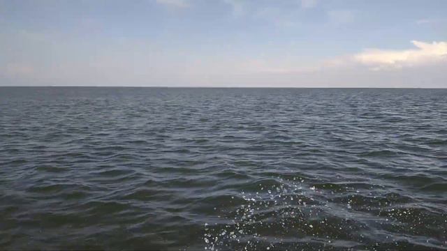 Должанка азовское море 2019 смотреть онлайн