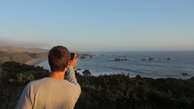 How To Van Camp - D-I-Why Not? смотреть онлайн