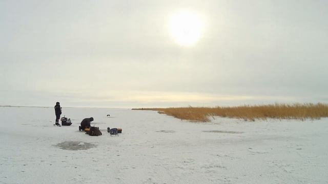 Зимняя рыбалка в Курчуме смотреть онлайн