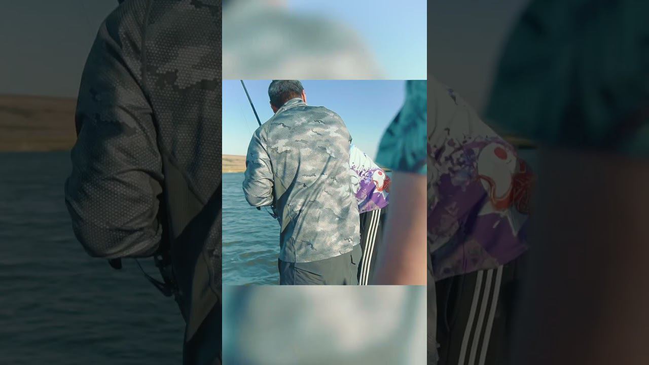 Поймали Марию! Биг Фиш турнира - карп по имени Мария - 27,4кг! Новый личный рекорд! смотреть онлайн