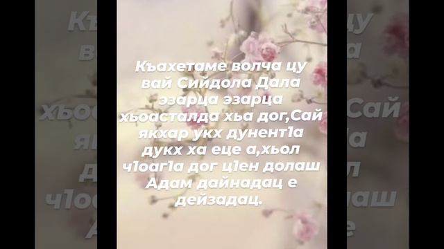 видео на заказ на Ингушском языке смотреть онлайн