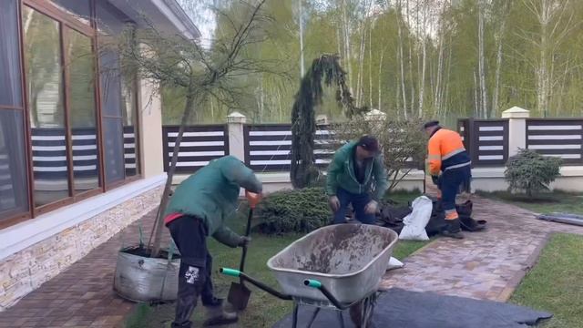 Озеленение объекта в посёлке Примавера. Казань. смотреть онлайн