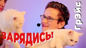 МОЩНАЯ ПОДДЕРЖКА, МОТИВАЦИЯ и ПОЗИТИВ НА КАЖДЫЙ ДЕНЬ! НАТАЛЬЯ ГРЭЙС  #поддержка #позитив #мотивация