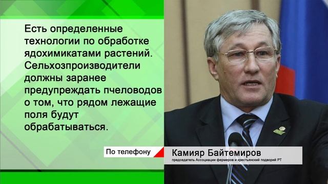 Экономика - В республике упростилась система назначения выплат инвалидам смотреть онлайн