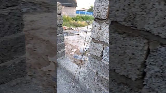 ✅Стартовый проект.Выпуск №11Кладка арболитовых блоков смотреть онлайн
