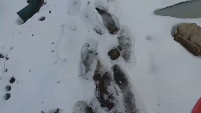 РОЗЫ ПОСЛЕ 8 МАРТА! УТИЛИЗАЦИЯ ШИКАРНОГО БУКЕТА! смотреть онлайн