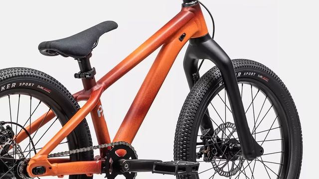 Specialized P.1 2023 MTB или BMX - ЧТО ТЫ ТАКОЕ?! смотреть онлайн