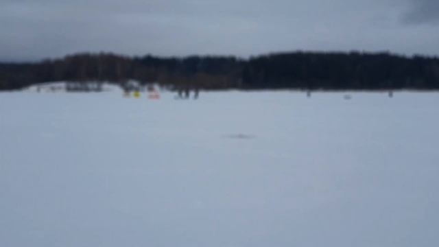 Массовая РЫБАЛКА на Рузском водохранилище!!! 28.01.2023. Глухозимье(плотва,лещ,окунь)!!! смотреть онлайн