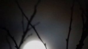 Прослушайте текст и напишите сжатое изложение