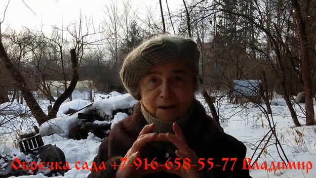 Обрезка сада (плодовых деревьев) отзыв Светлана Георгиевна. Ленинский район смотреть онлайн
