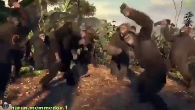 Гарилы на гитаре смотреть онлайн