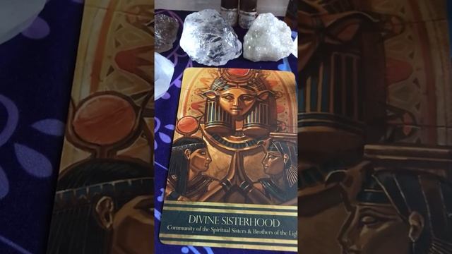 Card of the day: #Divine Sisterhood Community of the #Spiritual Sisters and Brothers of the Light смотреть онлайн