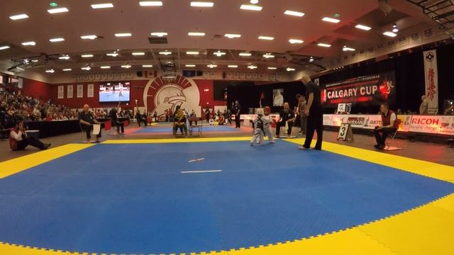 GoPro 4 year old Calgary cup 2017 karate смотреть онлайн