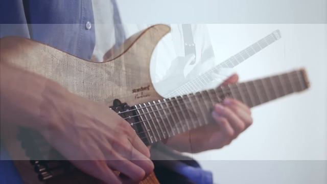 Plini - .strandberg* Boden 6