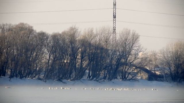 Зима на реке Кубань - минус 17 С, ледоход, Зимующие утки смотреть онлайн