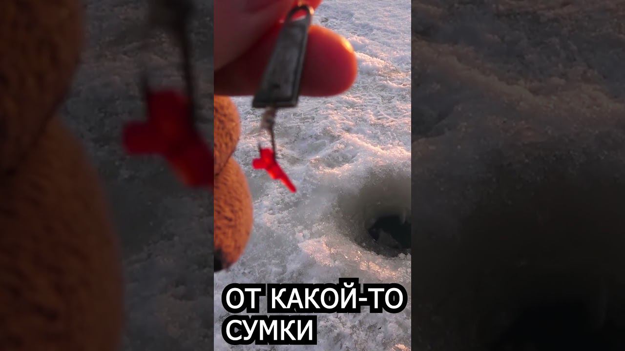 УДОЧКА ПОЛЯРНОГО МАЛЬЧИКА #shorts смотреть онлайн