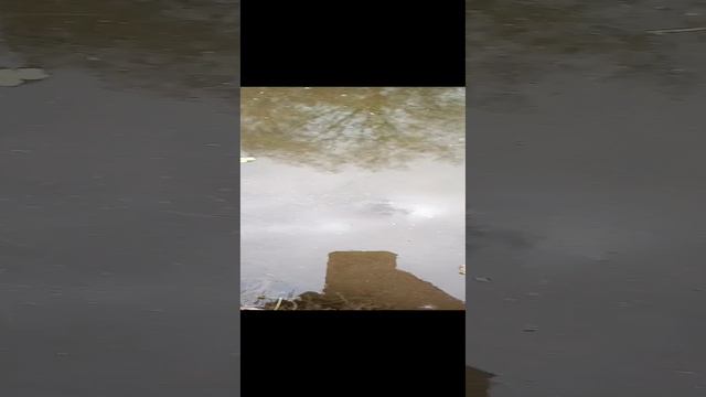 Поймал-отпустил рыбалка