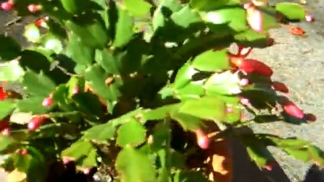 128 buds смотреть онлайн