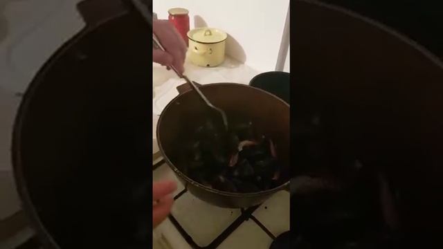 Мидии AGAMA в сливочно чесночном соусе смотреть онлайн