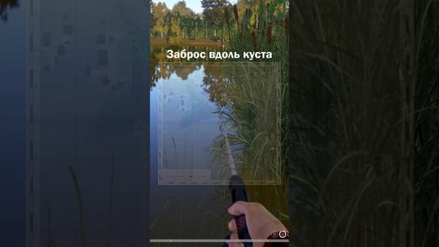 Ротан - Ранг 2 УЛ квалификация / Russian fishing 4 / #рр4 смотреть онлайн