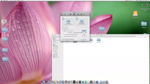 watermarking your images online - how to protect your photos