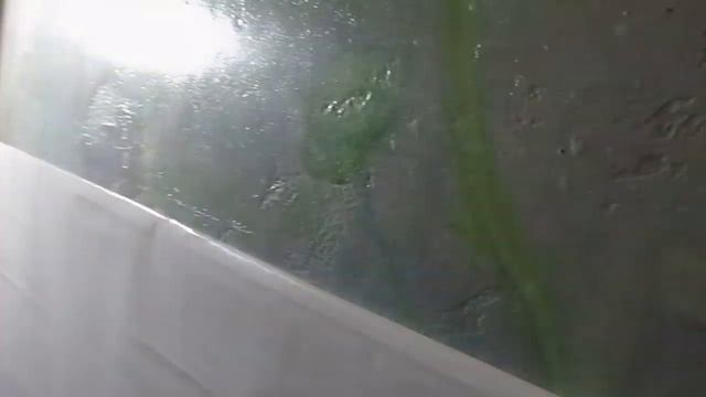 Цифровая роспись в интерерьере и экстерьере.НАНОСИТЕ НА ЛЮБЫЕ ПОВЕРХНОСТИ смотреть онлайн