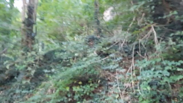 Наверное, лошадям надоело летать по неудобным галькообразным дорогам и они придумали самолёт ✈ смотреть онлайн