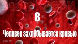 Звук крови,  капель и брызг - звуковые эффекты слушать онлайн
