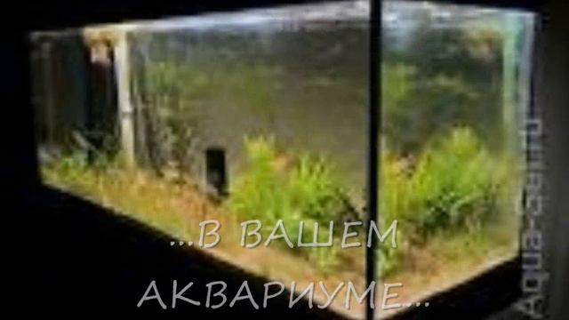 КАРЮХИН Сергей смотреть онлайн