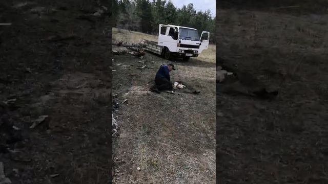 Строим забор из того что есть смотреть онлайн