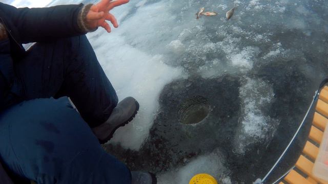 Peipsi järv, Lake Peipus, Чудское озеро смотреть онлайн