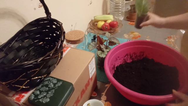 Удачная прогулка смотреть онлайн