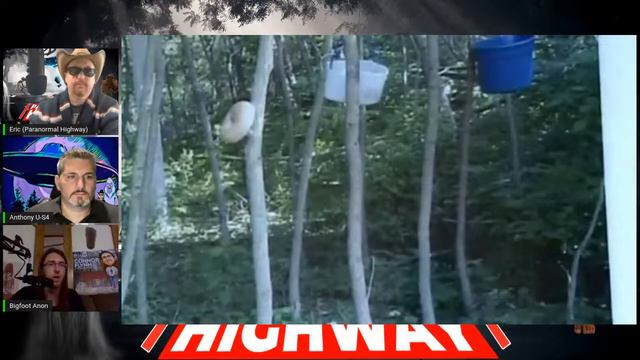 Lesser-Known Bigfoot Legends in The US and Around The World смотреть онлайн