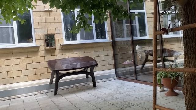 Сварила варенье из вишни, привела в порядок двор- помыла, убрала)))