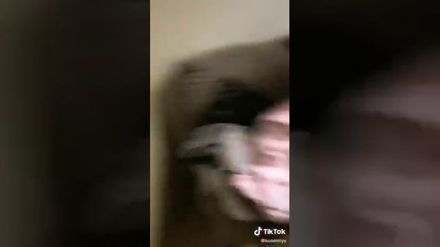 Склейка видео #16/TikTok Ян?? смотреть онлайн