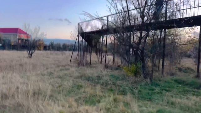Вожак-лев ВЕСЬ НА НЕРВАХ и готов сражаться за львицу даже с тиграми! смотреть онлайн