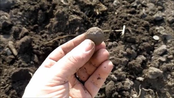 Весенний поиск монет с Nokta Simplex +-Spring coin search with Nokta Simplex +