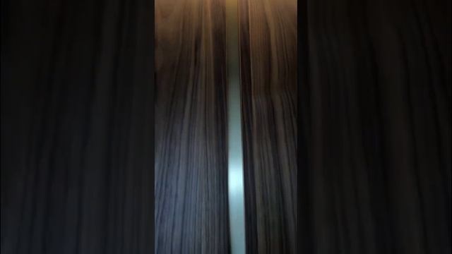 Панели в шпоне американского ореха и декор из шлифованной латуни ? смотреть онлайн