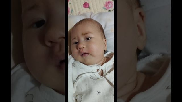 #uzbekistan #fargona #andijon #beshariq #namangan #samarqand #mrjavohir #toshkent #qoqon #angren #u смотреть онлайн