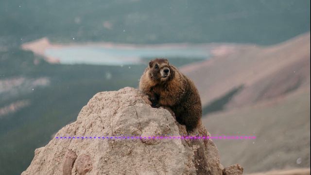 Канал смешной переозвучки и юмора. Интро канала переозвучки! Присоединяйся, тут весело! Орный смех смотреть онлайн