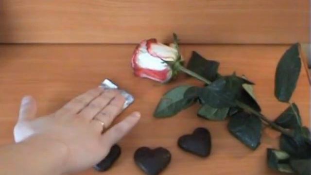 Цикл жизни - Circle of life смотреть онлайн