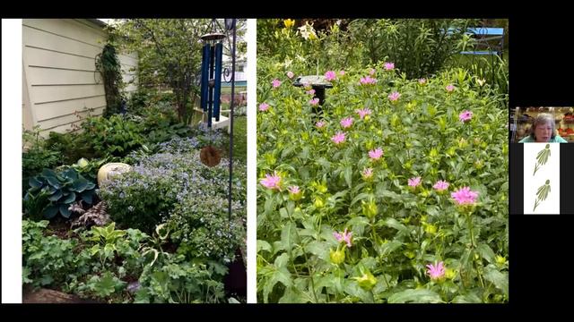 Becky's Grow and Tell смотреть онлайн